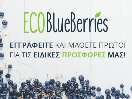 EcoBlueBerries - Προσφορές