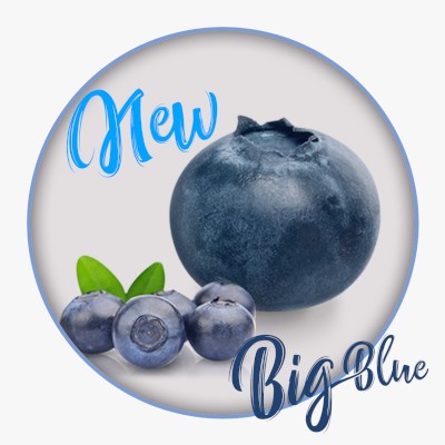 Βιολογικά κατεψυγμένα Μύρτιλλα Big Blue